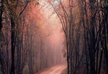 腾空的十八岁！全红婵纪录：女子单人10米台金牌大满贯.