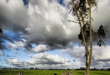 咪咕体育官网：[CBA]周鹏关键上篮 深圳客场逆转江苏.